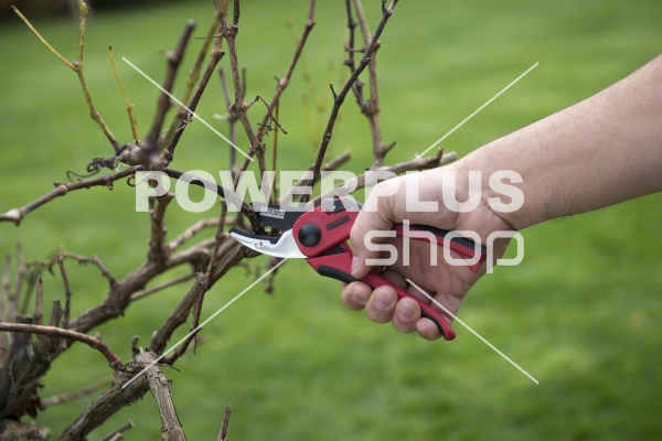 Modální Další obrázky pro KRTGR1002 - Nůžky zahradnické 205mm kovadlinkové