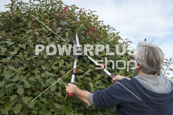 Modální Další obrázky pro KRTGR3012 - Nůžky na živý plot AL Teleskopické